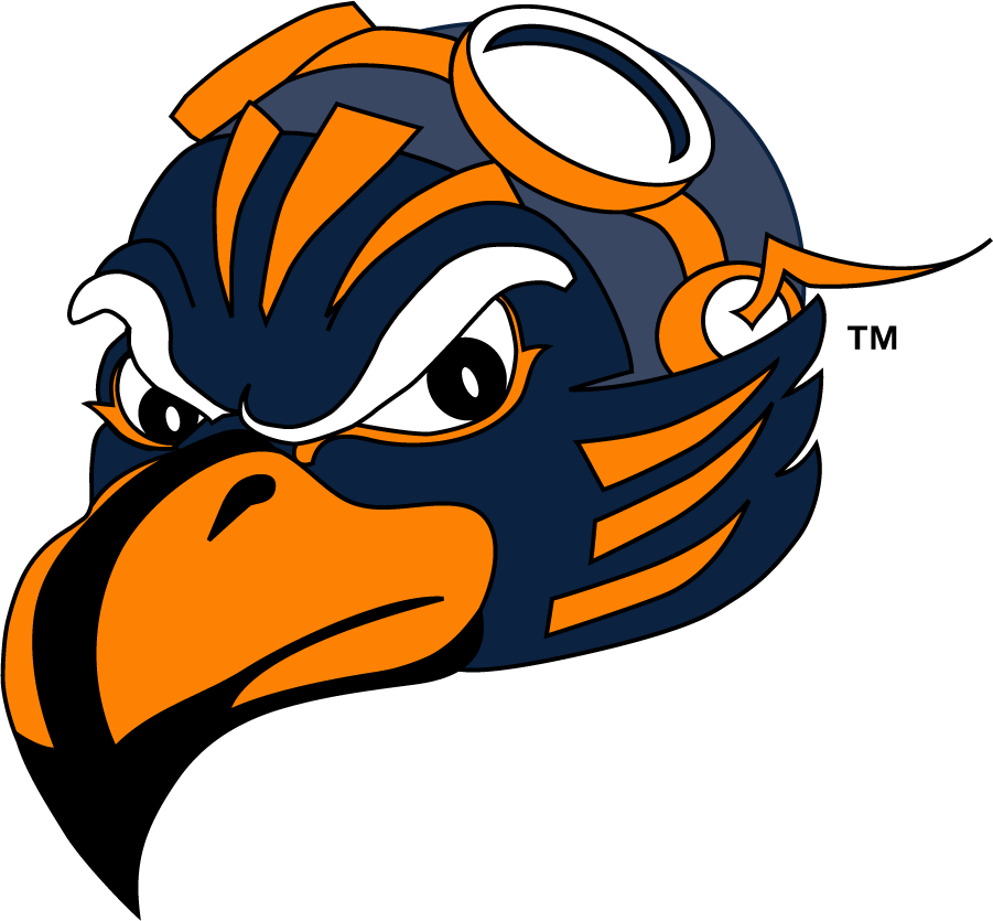 Tennessee-Martin Skyhawks 2007-2020 Mascot Logo DIY iron on transfer (heat transfer)
